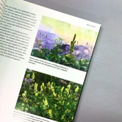 Wild Garden (Sven Nürnberger) -Angebote Pflanzen Store 27783 Wild 20Garden Sven 20Nuernberger 4