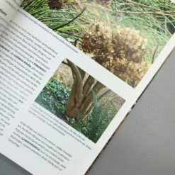 Lebendige Gärten Im Winter (Iris Frey) 11 Lebendige Gärten Im Winter (Iris Frey) -Angebote Pflanzen Store 27951 Lebendige 20Gaerten 20im 20Winter Iris 20Frey 5