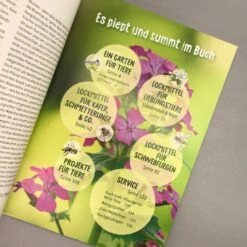 Meise Mag Melisse (Elke Schwarzer) -Angebote Pflanzen Store 28446 Meise 20mag 20Melisse Elke 20Schwarzer 4