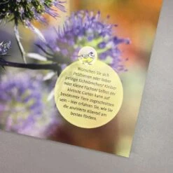 Meise Mag Melisse (Elke Schwarzer) -Angebote Pflanzen Store 28446 Meise 20mag 20Melisse Elke 20Schwarzer 5