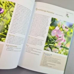 Mein Bienengarten, Erweiterte Auflage (Elke Schwarzer) 12 Mein Bienengarten, Erweiterte Auflage (Elke Schwarzer) -Angebote Pflanzen Store 28879 Mein 20Bienengarten 20erweiterte 20Auflage Elke 20Schwarzer 5 c15494a2 d75c 486c 8ff3 9973a482fca0