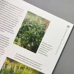 Heimische Wildstauden (Peter Steiger) -Angebote Pflanzen Store 28882 Heimische 20Wildstauden Peter 20Steiger 6