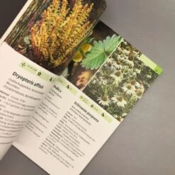 Taschenatlas Stauden (Heissel/Haberer) -Angebote Pflanzen Store 28887 Taschenatlas 20Stauden HeisselHaberer 5