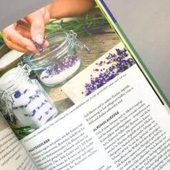 Kräuter Im Hochbeet (Bohne, Burkhard) -Angebote Pflanzen Store 29107 Kraeuter 20im 20Hochbeet Bohne 20Burkhard 6