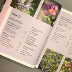 Robuste Schönheiten Für Den Garten (Ina Timm) 10 Robuste Schönheiten Für Den Garten (Ina Timm) -Angebote Pflanzen Store 29364 Robuste 20Schoenheiten 20fuer 20den 20Garten Ina 20Timm 4