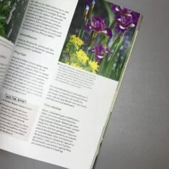 Das Perfekte Beet (Folko Kullmann) -Angebote Pflanzen Store 29813 Das 20perfekte 20Beet Folko 20Kullmann 4