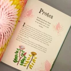 Wundervolle Welt Der Natur (Ben Hoare) -Angebote Pflanzen Store 30469 Wundervolle 20Welt 20der 20Natur Ben 20Hoare 6