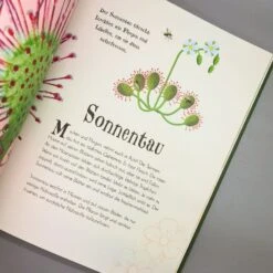 Wundervolle Welt Der Natur (Ben Hoare) -Angebote Pflanzen Store 30469 Wundervolle 20Welt 20der 20Natur Ben 20Hoare 7