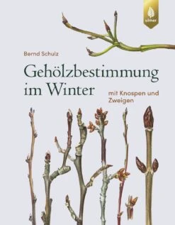 Gehölzbestimmung Im Winter (Bernd Schulz) -Angebote Pflanzen Store 30673 Gehoelzbestimmung 20im 20Winter Bernd 20Schulz 1