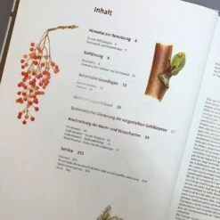 Gehölzbestimmung Im Winter (Bernd Schulz) -Angebote Pflanzen Store 30673 Gehoelzbestimmung 20im 20Winter Bernd 20Schulz 4