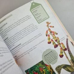 Zwiebelpflanzen Und Knollenblumen (Richard Wilford) -Angebote Pflanzen Store 30700 Zwiebelpflanzen 20und 20Knollenblumen Richard 20Wilford 5