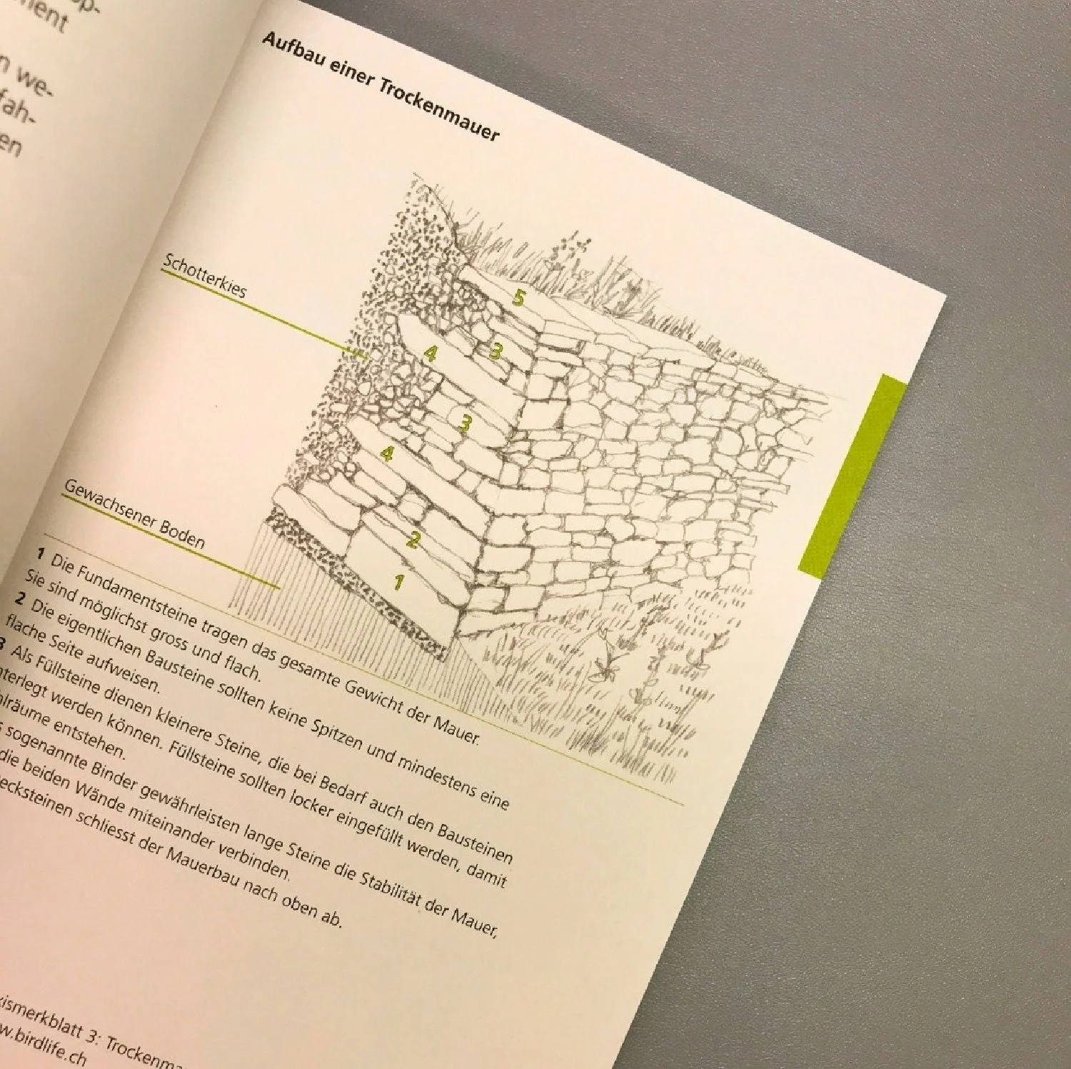 Vom Ziergarten Zum Lebensraum (Kleines Praxisbuch Für Eine Naturnahe) 6 Vom Ziergarten Zum Lebensraum (Kleines Praxisbuch Für Eine Naturnahe) – Bild 4