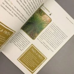 Garten Ohne Gießen (Anette Lepple) -Angebote Pflanzen Store 31512 Garten 20ohne 20Giessen Anette 20Lepple 6