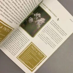 Garten Ohne Gießen (Anette Lepple) -Angebote Pflanzen Store 31512 Garten 20ohne 20Giessen Anette 20Lepple 7