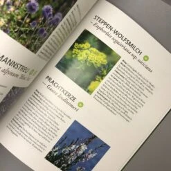 Trockenhelden Naturnah Gärtnern (Simone Kern) -Angebote Pflanzen Store 31651 Trockenhelden 20Naturnah 20gaertnern Simone 20Kern 5