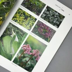 Mein Garten Im Wandel (Peter Janke) -Angebote Pflanzen Store 31929 Mein 20Garten 20im 20Wandel Peter 20Janke 4