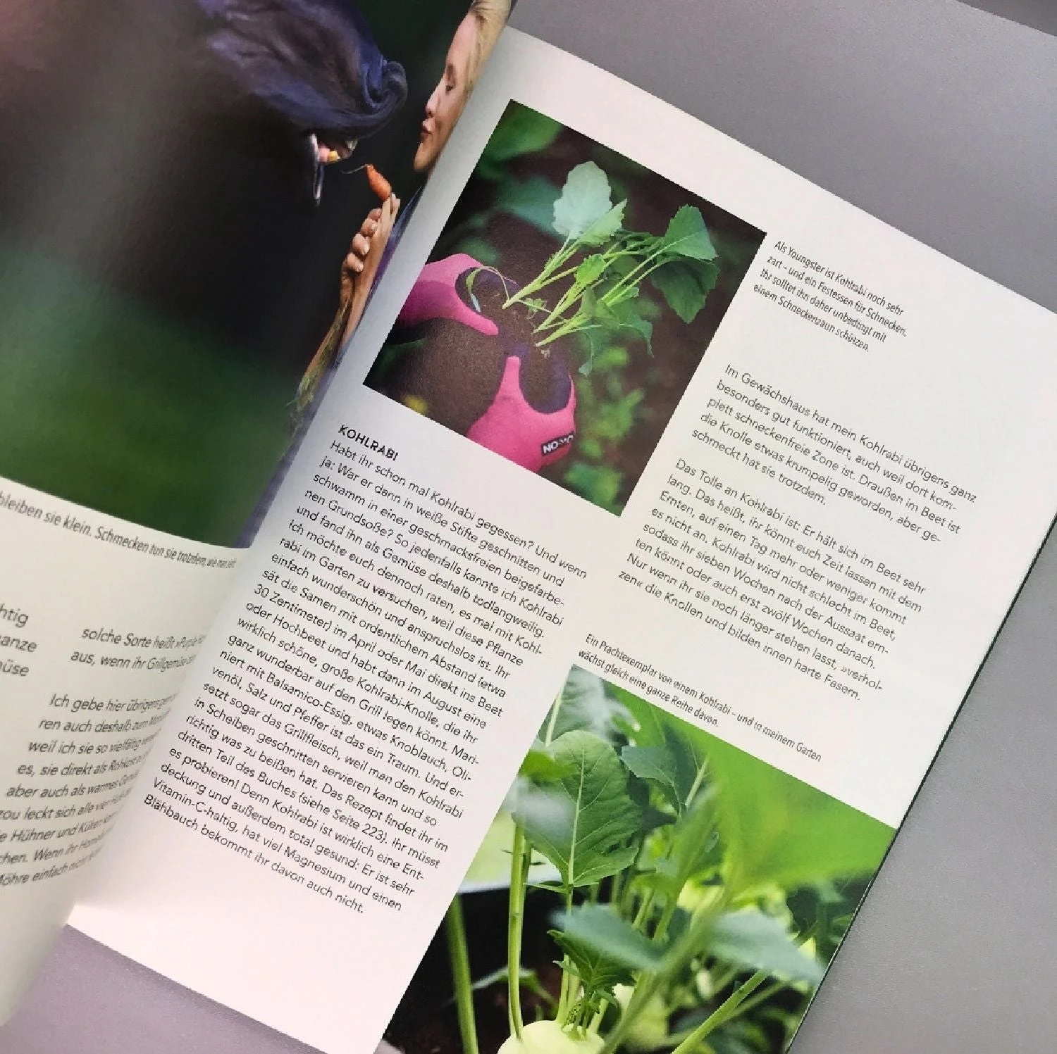 Home Farming (Judith Rakers) 7 Home Farming (Judith Rakers) – Bild 5