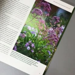 Wilde Wiesen Gestalten (Katrin Lugerbauer) -Angebote Pflanzen Store 32038 Wilde 20Wiesen 20gestalten Katrin 20Lugerbauer 5