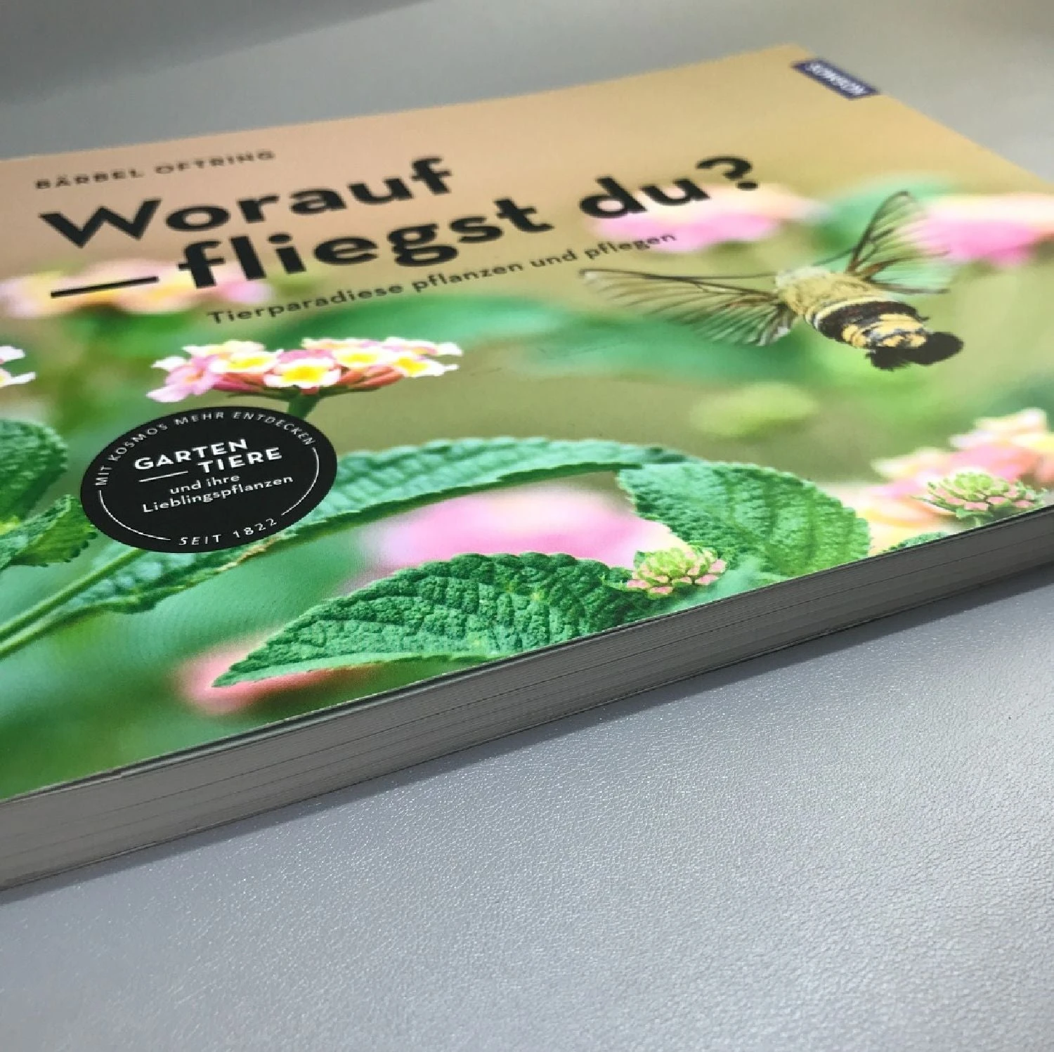 Worauf Fliegst Du? (Bärbel Oftring) 3 Worauf Fliegst Du? (Bärbel Oftring)