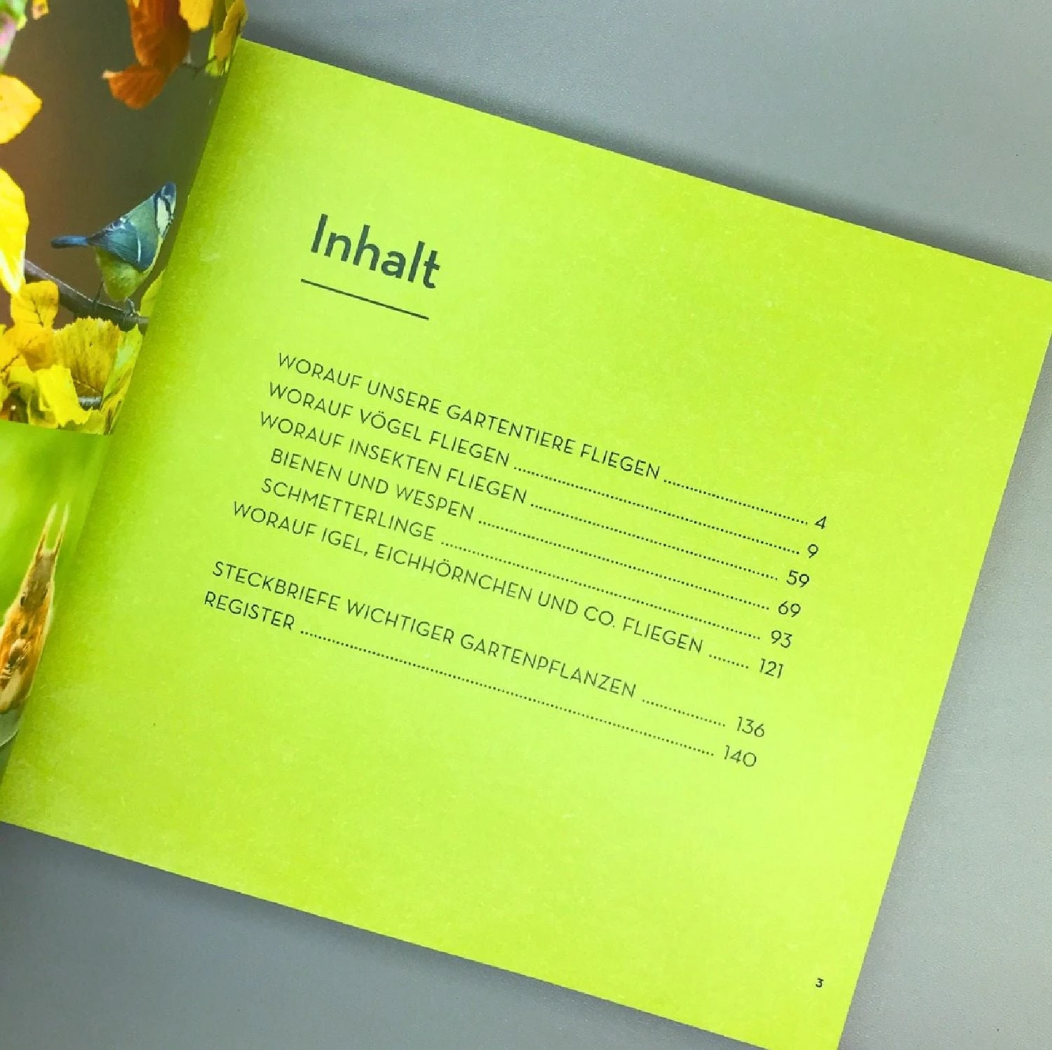 Worauf Fliegst Du? (Bärbel Oftring) 4 Worauf Fliegst Du? (Bärbel Oftring) – Bild 2