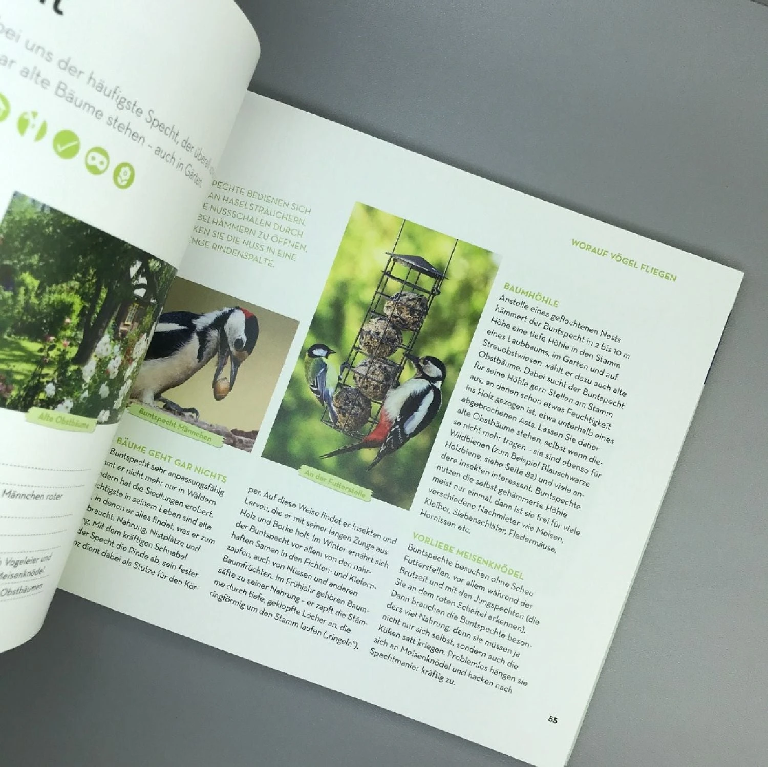 Worauf Fliegst Du? (Bärbel Oftring) 5 Worauf Fliegst Du? (Bärbel Oftring) – Bild 3