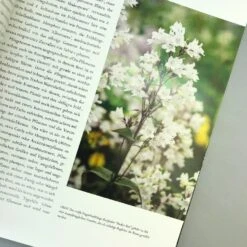 Sissinghurst Der Traumgarten (Tim Richardson) 10 Sissinghurst Der Traumgarten (Tim Richardson) -Angebote Pflanzen Store 32737 Sissinghurst 20Der 20Traumgarten Tim 20Richardson 5