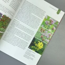 Gemüse Ernten Ohne Gießen (Christine Weidenweber) 10 Gemüse Ernten Ohne Gießen (Christine Weidenweber) -Angebote Pflanzen Store 32987 Gemuese 20ernten 20ohne 20giessen Christine 20Weidenweber 4