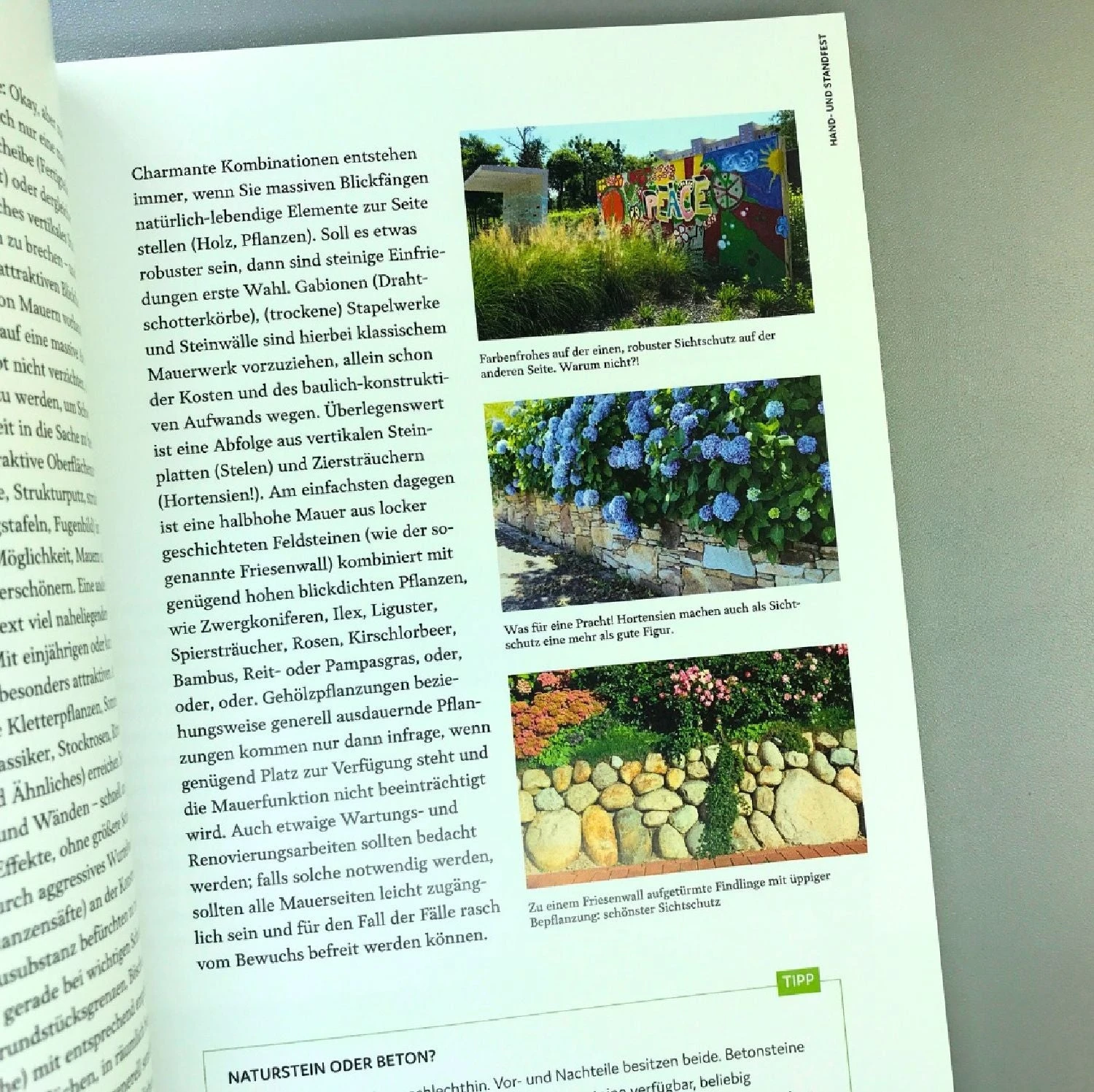 Schöner Sichtschutz Selbst Gemacht (Lars Weigelt) 6 Schöner Sichtschutz Selbst Gemacht (Lars Weigelt) – Bild 4