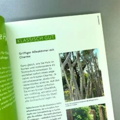 Schöner Sichtschutz Selbst Gemacht (Lars Weigelt) 13 Schöner Sichtschutz Selbst Gemacht (Lars Weigelt) -Angebote Pflanzen Store 32989 Schoener 20Sichtschutz 20selbst 20gemacht Lars 20Weigelt 6