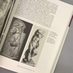 Michelangelo (Horst Bredekamp) -Angebote Pflanzen Store 33381 Michelangelo Horst 20Bredekamp 4