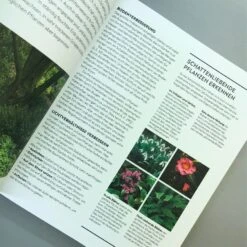 Richtig Gut Gärtnern (RHS Royal Horticulture Society) 13 Richtig Gut Gärtnern (RHS Royal Horticulture Society) -Angebote Pflanzen Store 34294 Richtig 20gut 20Gaertnern RHS 20Royal 20Horticulture 20Society 6