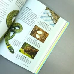 Leben Am Gartenteich (Kate Bradbury) -Angebote Pflanzen Store 34296 Leben 20am 20Gartenteich Kate 20Bradbury 5