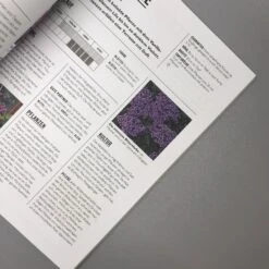 Pflanzen Im Topf (Grünes Garten Wissen) -Angebote Pflanzen Store 34299 Pflanzen 20im 20Topf Gruenes 20Garten 20Wissen 5