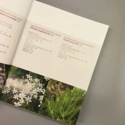 Wächst Fast Ohne Wasser (Aurélien Davroux) -Angebote Pflanzen Store 34690 Waechst 20fast 20ohne 20Wasser Aurlien 20Davroux 5