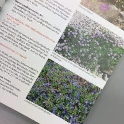 Wächst Fast Ohne Wasser (Aurélien Davroux) -Angebote Pflanzen Store 34690 Waechst 20fast 20ohne 20Wasser Aurlien 20Davroux 6