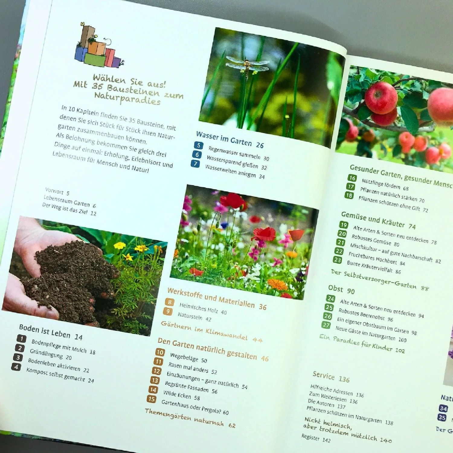 Naturgarten Ganz Einfach (Heike Boomgaarden) 4 Naturgarten Ganz Einfach (Heike Boomgaarden) – Bild 2