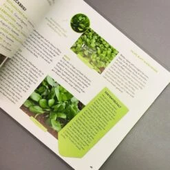 Was Mache Ich Wann Im Gemüsegarten? (Otmar Diez) -Angebote Pflanzen Store 34784 Was 20mache 20ich 20wann 20im 20Gemuesegarten Otmar 20Diez 6