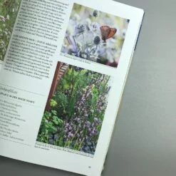 Wild Und Bunt (Naturnahe Gärten) -Angebote Pflanzen Store 34785 Wild 20und 20Bunt Naturnahe 20Gaerten 4 2006667a 7050 4d14 88ee 9f2b67e89403