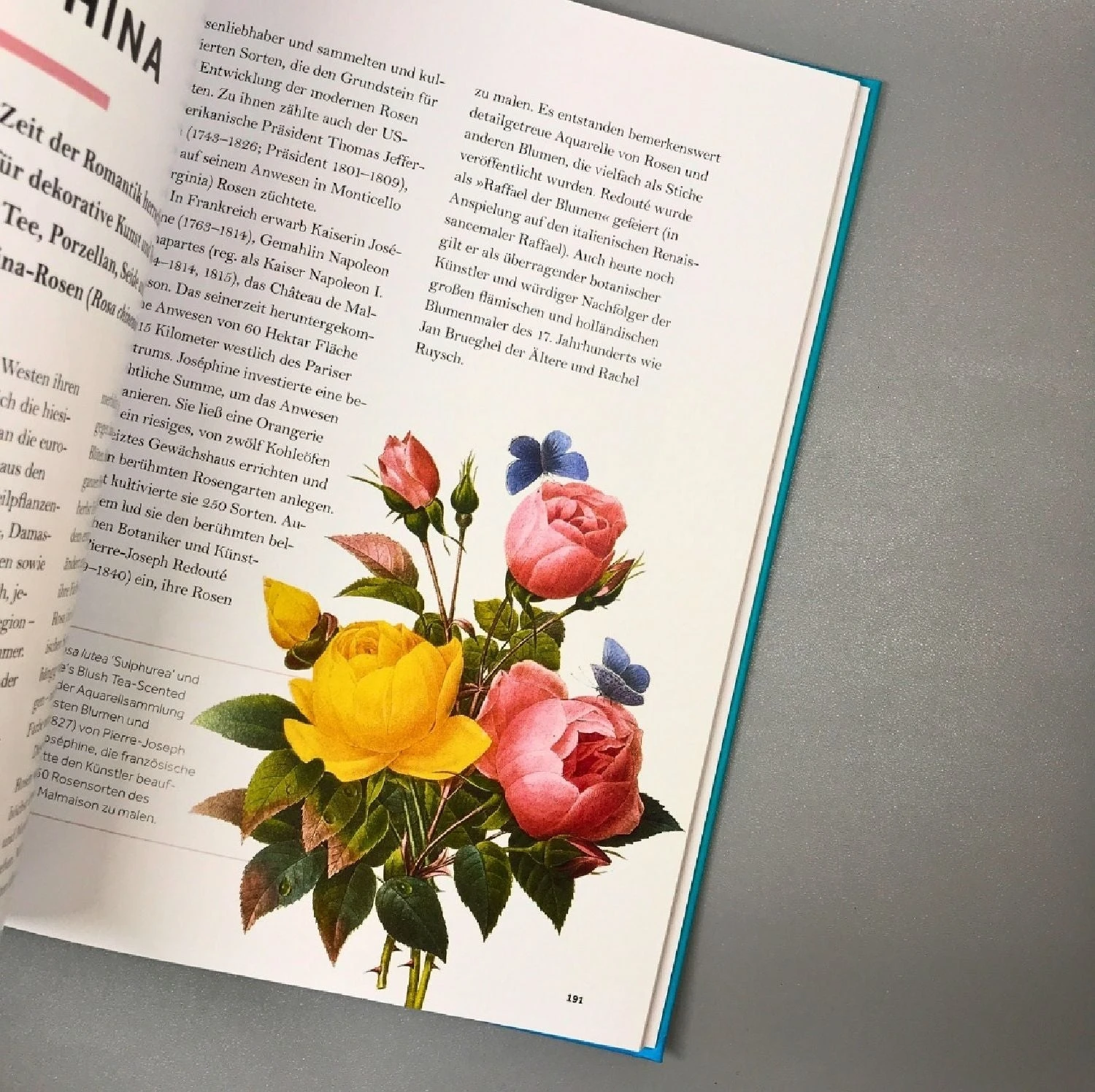 Die Geschichte Der Rose (Peter E. Kukielski) 4 Die Geschichte Der Rose (Peter E. Kukielski) – Bild 2