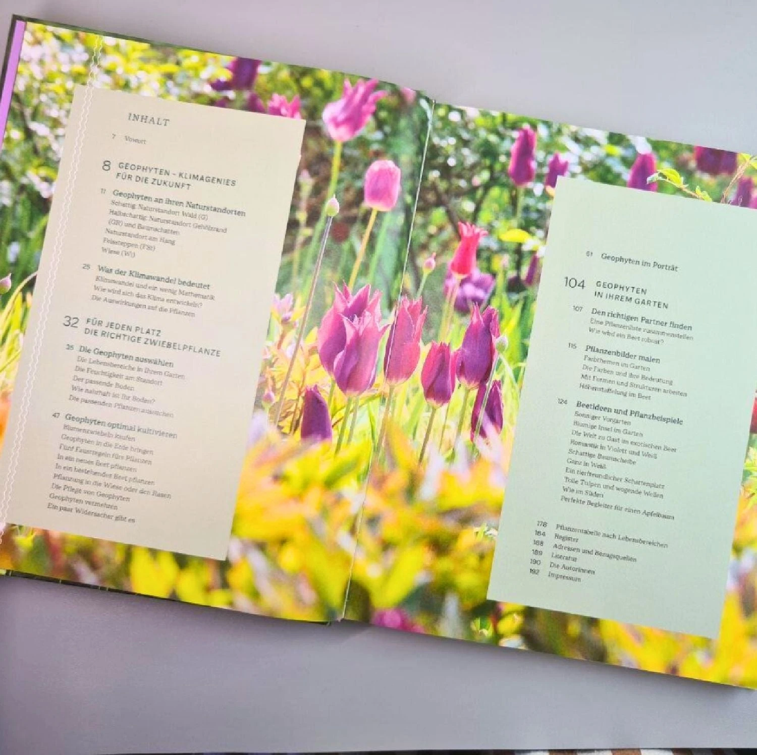 Robuste Traumbeete Gestalten (Ina Timm, Sylvia Knittel) 5 Robuste Traumbeete Gestalten (Ina Timm, Sylvia Knittel) – Bild 3