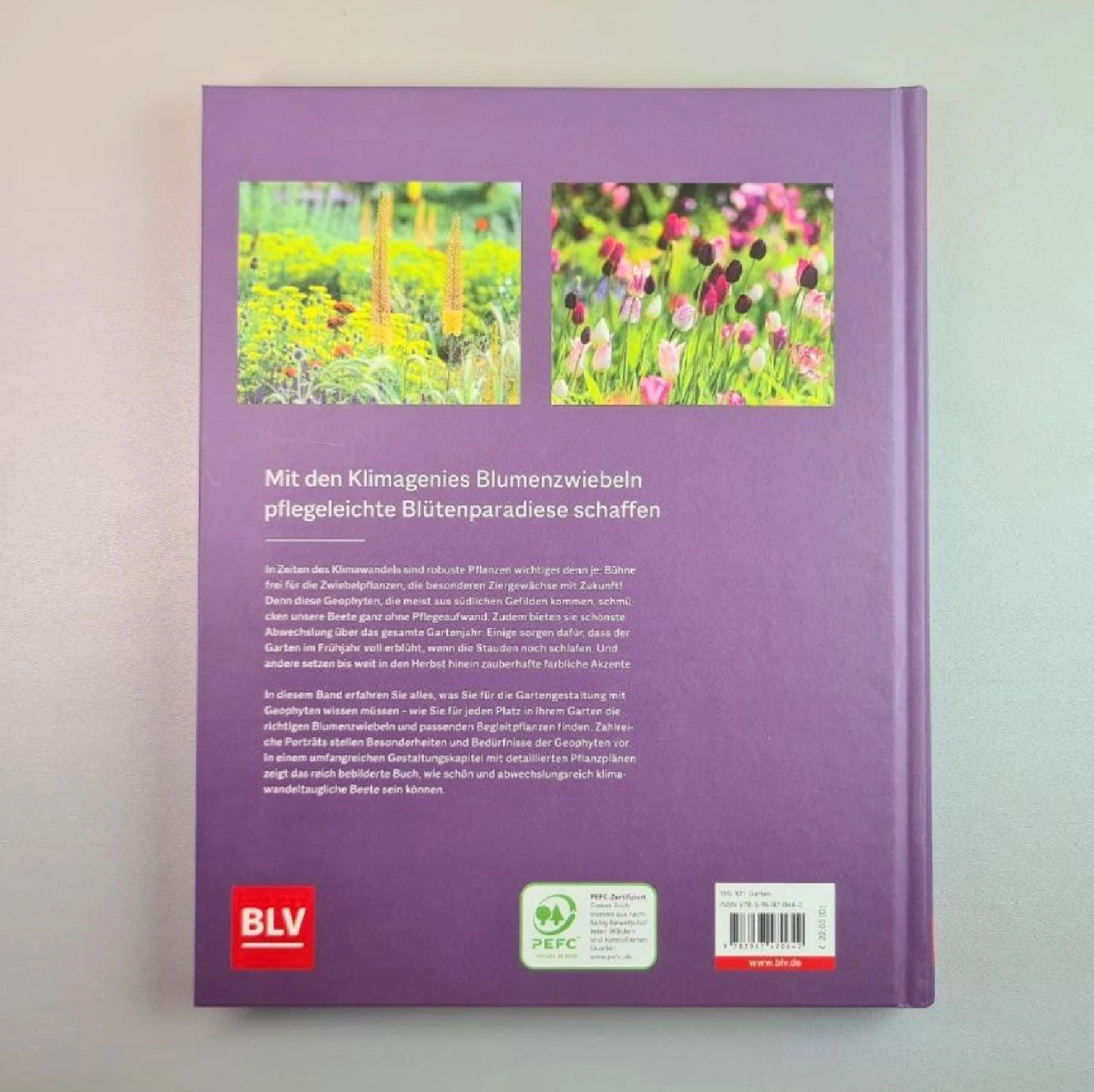 Robuste Traumbeete Gestalten (Ina Timm, Sylvia Knittel) 6 Robuste Traumbeete Gestalten (Ina Timm, Sylvia Knittel) – Bild 4