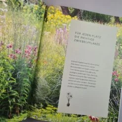 Robuste Traumbeete Gestalten (Ina Timm, Sylvia Knittel) 12 Robuste Traumbeete Gestalten (Ina Timm, Sylvia Knittel) -Angebote Pflanzen Store 34925 Robuste 20Traumbeete 20gestalten Ina 20Timm 20Sylvia 20Knittel 5 f07f7277 99f6 4216 bddf 0654d8348592