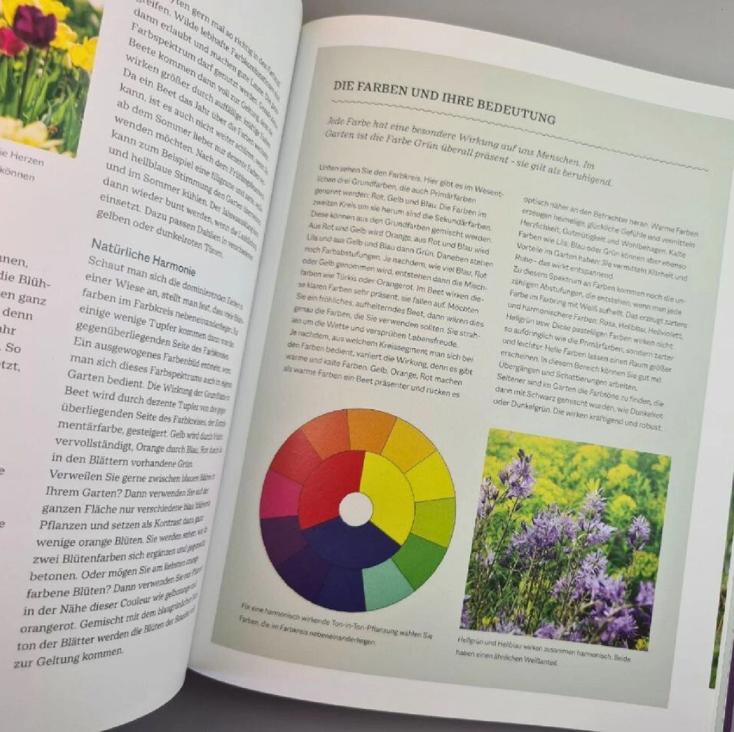 Robuste Traumbeete Gestalten (Ina Timm, Sylvia Knittel) 8 Robuste Traumbeete Gestalten (Ina Timm, Sylvia Knittel) – Bild 6