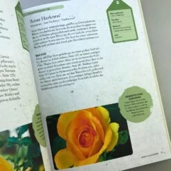 ROSEN | PFLANZEN, PFLEGEN, VERMEHREN (Tony Hall) -Angebote Pflanzen Store 35139 ROSEN 20 20PFLANZEN 20PFLEGEN 20VERMEHREN Tony 20Hall 6