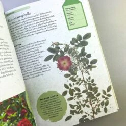 ROSEN | PFLANZEN, PFLEGEN, VERMEHREN (Tony Hall) -Angebote Pflanzen Store 35139 ROSEN 20 20PFLANZEN 20PFLEGEN 20VERMEHREN Tony 20Hall 7