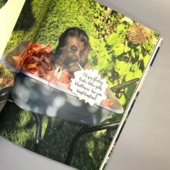 Mit Witz, Charme Und Methode (Katrin Iskam, Beate Balz) -Angebote Pflanzen Store 35807 Mit 20Witz 20Charme 20und 20Methode Katrin 20Iskam 20Beate 20Balz 4