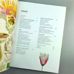 Pflanzenjäger (Wie Exotische Pflanzen In Unsere Gärten) -Angebote Pflanzen Store 35899 Pflanzenjaeger Wie 20exotische 20Pflanzen 20in 20unsere 20Gaerten 4