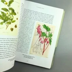 Pflanzenjäger (Wie Exotische Pflanzen In Unsere Gärten) -Angebote Pflanzen Store 35899 Pflanzenjaeger Wie 20exotische 20Pflanzen 20in 20unsere 20Gaerten 5