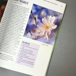 Die 150 Besten Pflanzen (für Jede Gartenecken) 17 Die 150 Besten Pflanzen (für Jede Gartenecken) -Angebote Pflanzen Store 35935 Die 20150 20Besten 20Pflanzen 20fuer 20jede 20Gartenecken 4