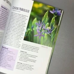 Die 150 Besten Pflanzen (für Jede Gartenecken) 18 Die 150 Besten Pflanzen (für Jede Gartenecken) -Angebote Pflanzen Store 35935 Die 20150 20Besten 20Pflanzen 20fuer 20jede 20Gartenecken 5